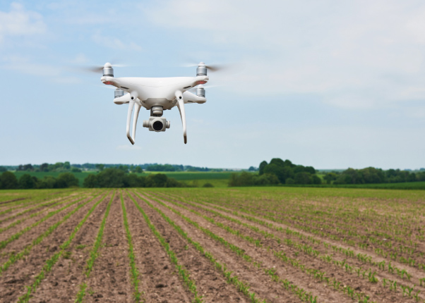 GIS & Remote Sensing Services